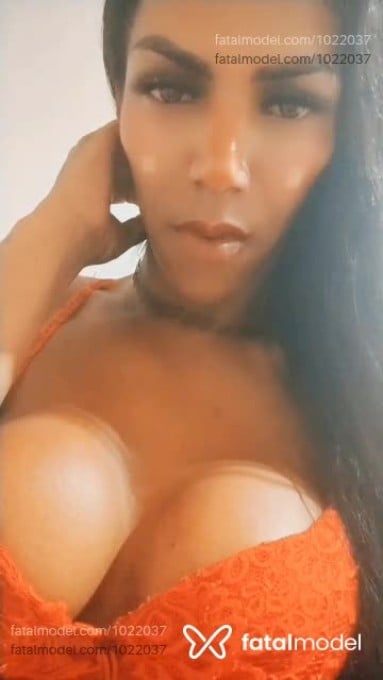 Acompanhante homem trans morena (o) de olhos castanhos em Curitiba - Jennifer Dantas