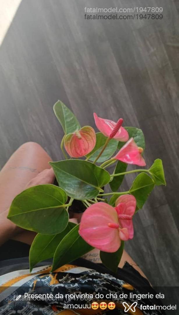 Acompanhante mulher com cabelo castanho de olhos castanhos - Bruninhaasurfis