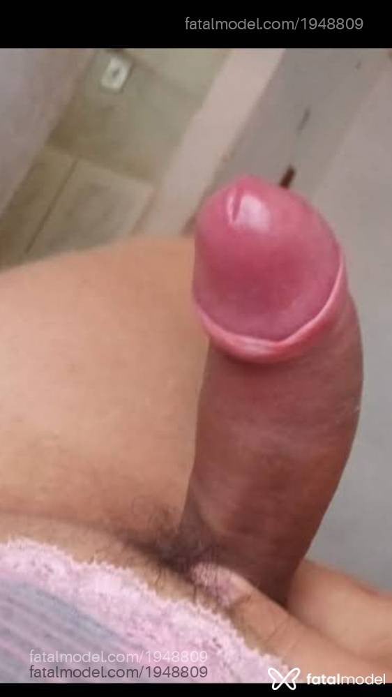 Acompanhante mulher trans com cabelo castanho de olhos verdes em Posse - Leticia Dias