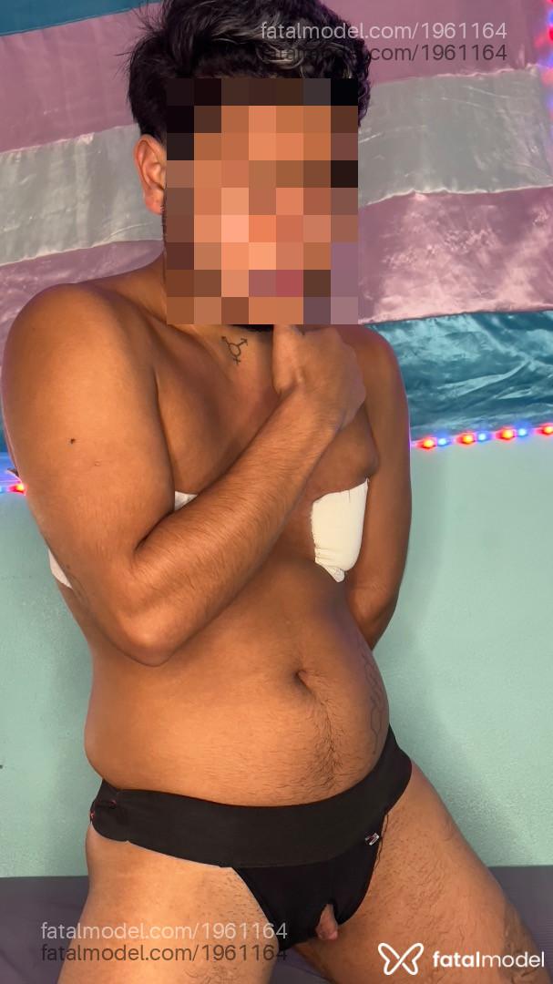 Acompanhante homem trans morena (o) de olhos pretos em Francisco Morato Acompanhante homem trans morena (o) de olhos pretos em Francisco Morato - Samsam