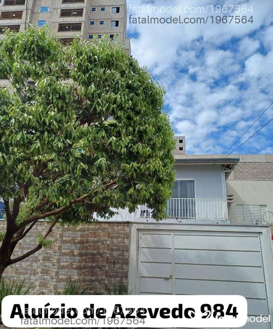 Acompanhante mulher com cabelo castanho de olhos castanhos - Erika Acompanhante mulher com cabelo castanho de olhos castanhos - Erika