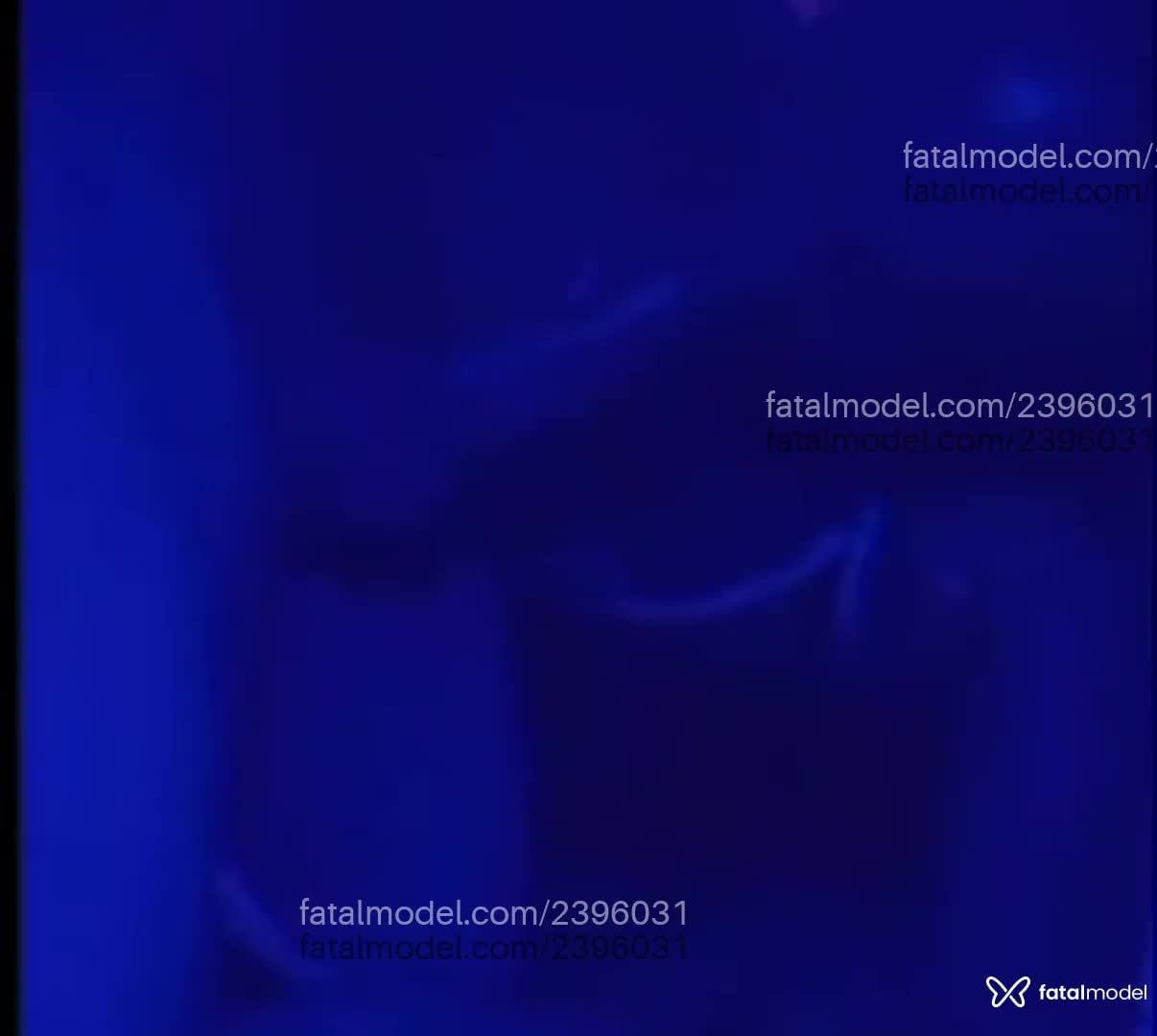 Vídeo 2