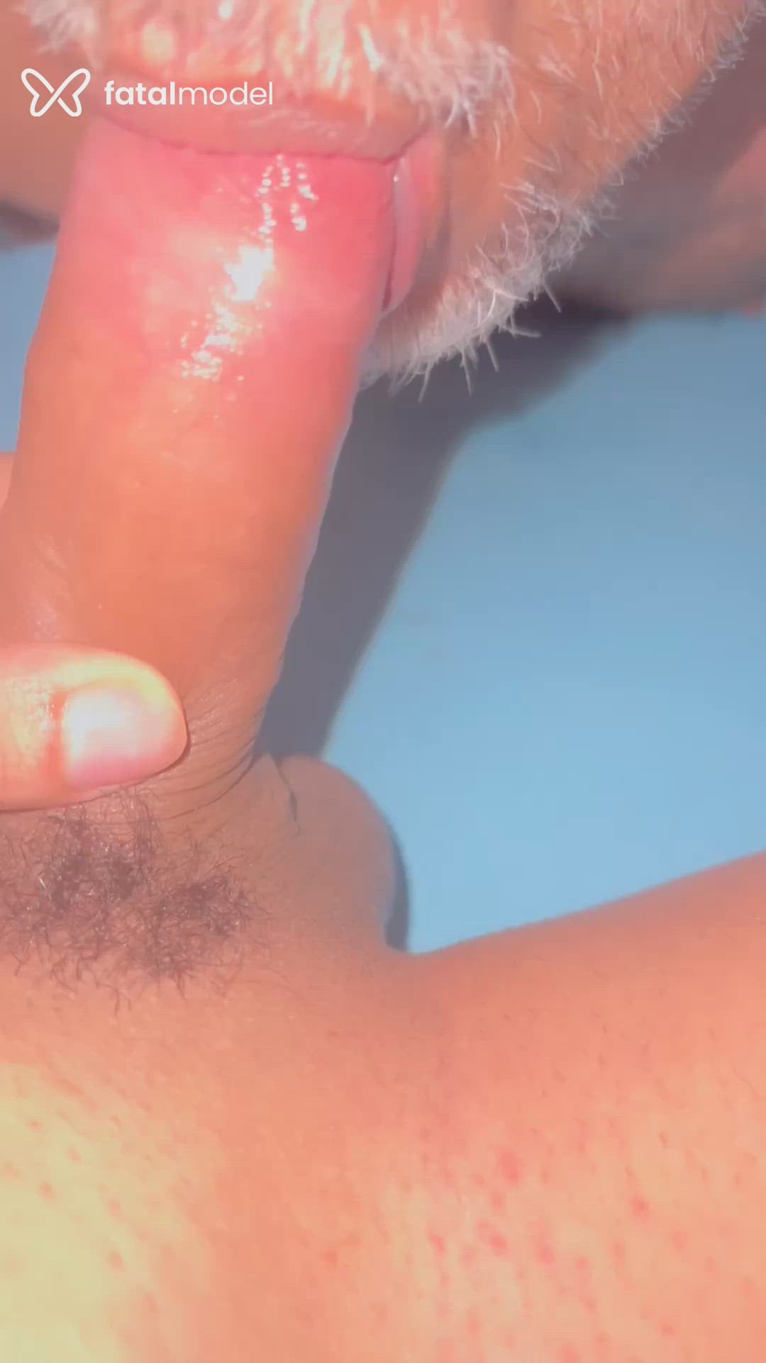 Acompanhante mulher trans loira (o) de olhos mel - Fernanda Alves
