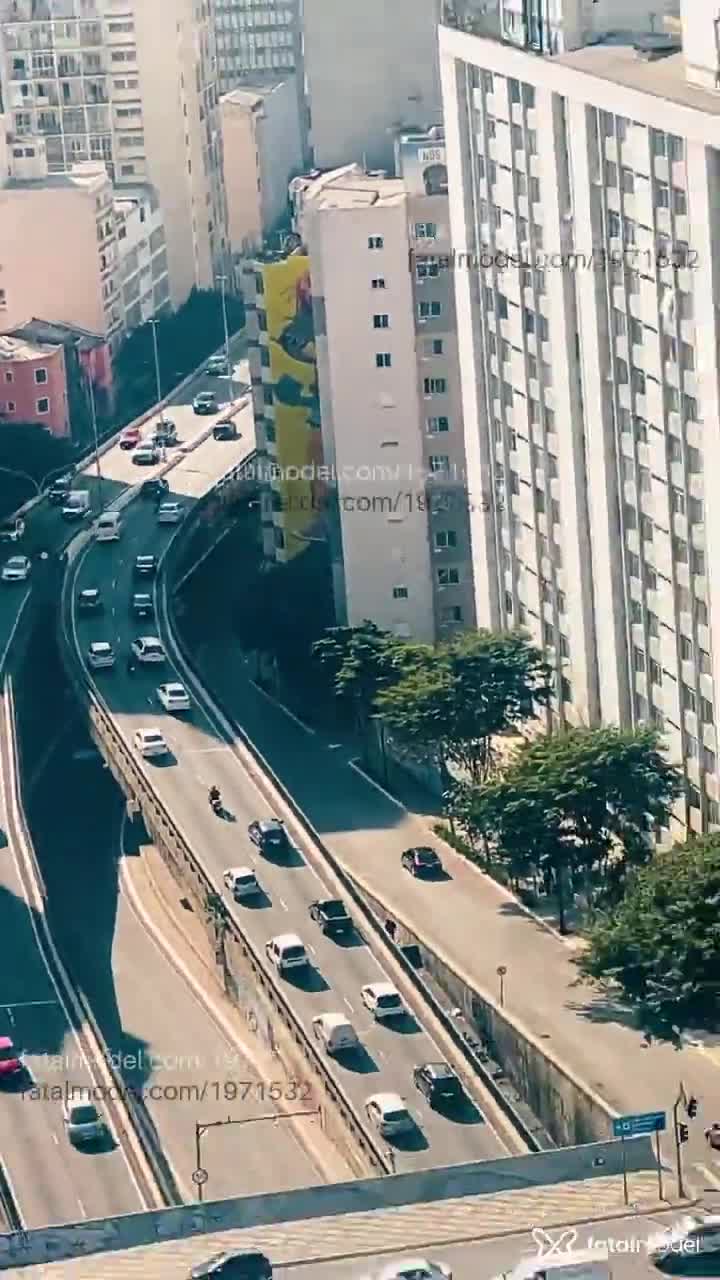 Acompanhante mulher trans morena (o) de olhos pretos em São Paulo - Rafaela Ribeiro