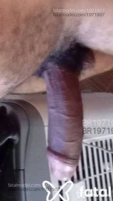 Acompanhante homem morena (o) de olhos pretos - Rodrigo