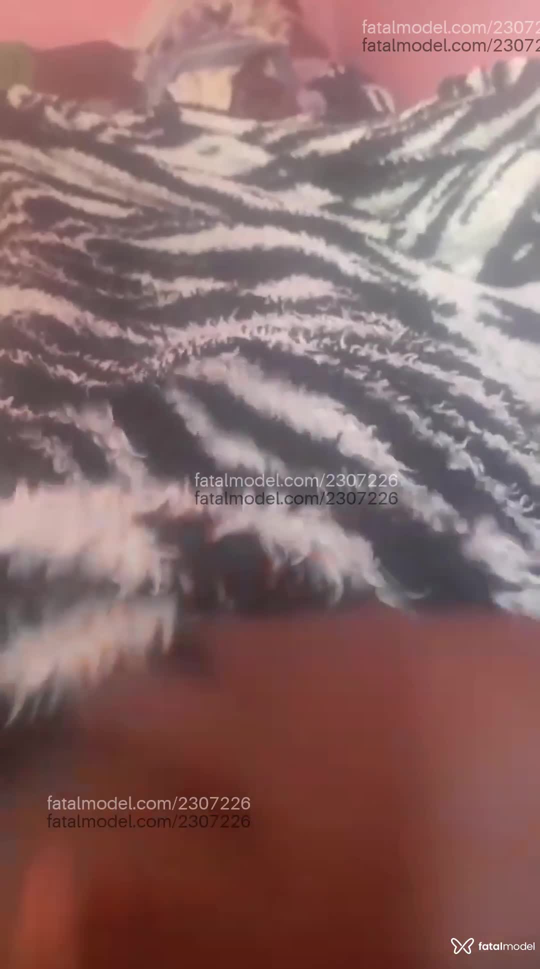 Vídeo 3
