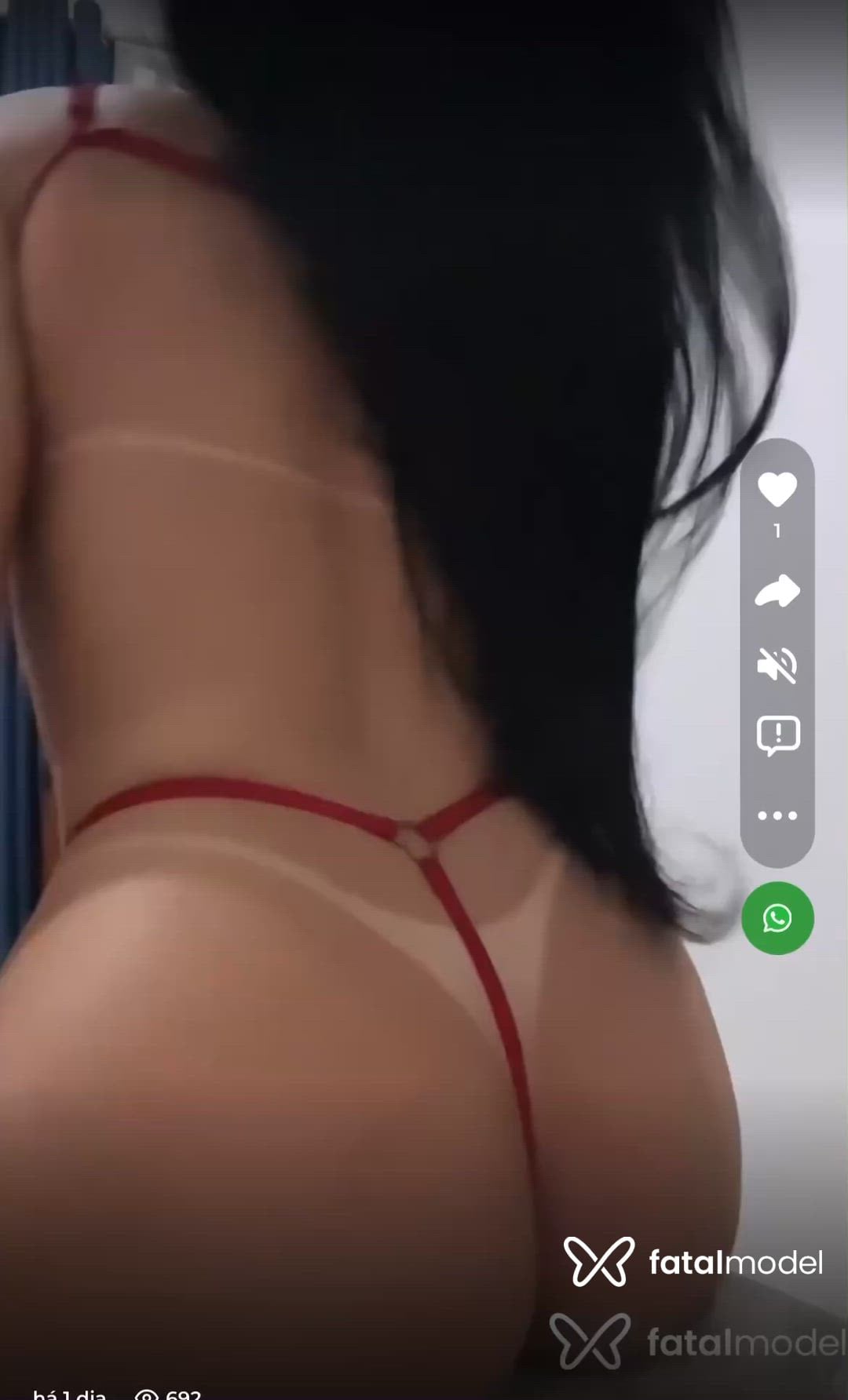 Vídeo 11