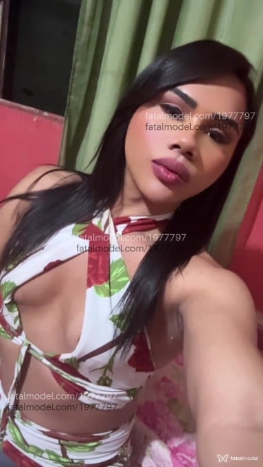 Acompanhante mulher trans com cabelo castanho de olhos castanhos em João Monlevade - Steffany Lara