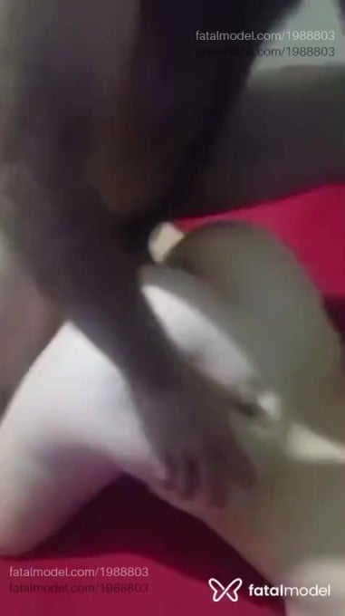 Acompanhante homem morena (o) de olhos castanhos em Virtual - CasalIlhaaa
