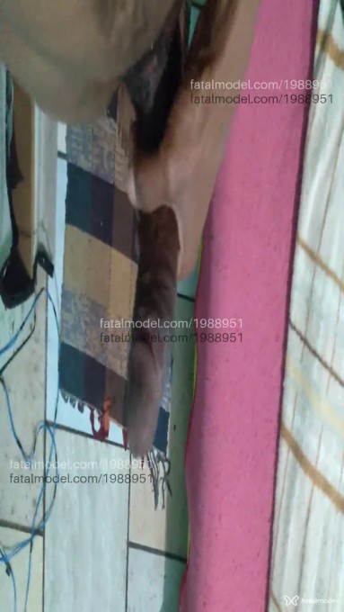 Acompanhante homem morena (o) de olhos castanhos em Uberlândia - Luiz Carlos