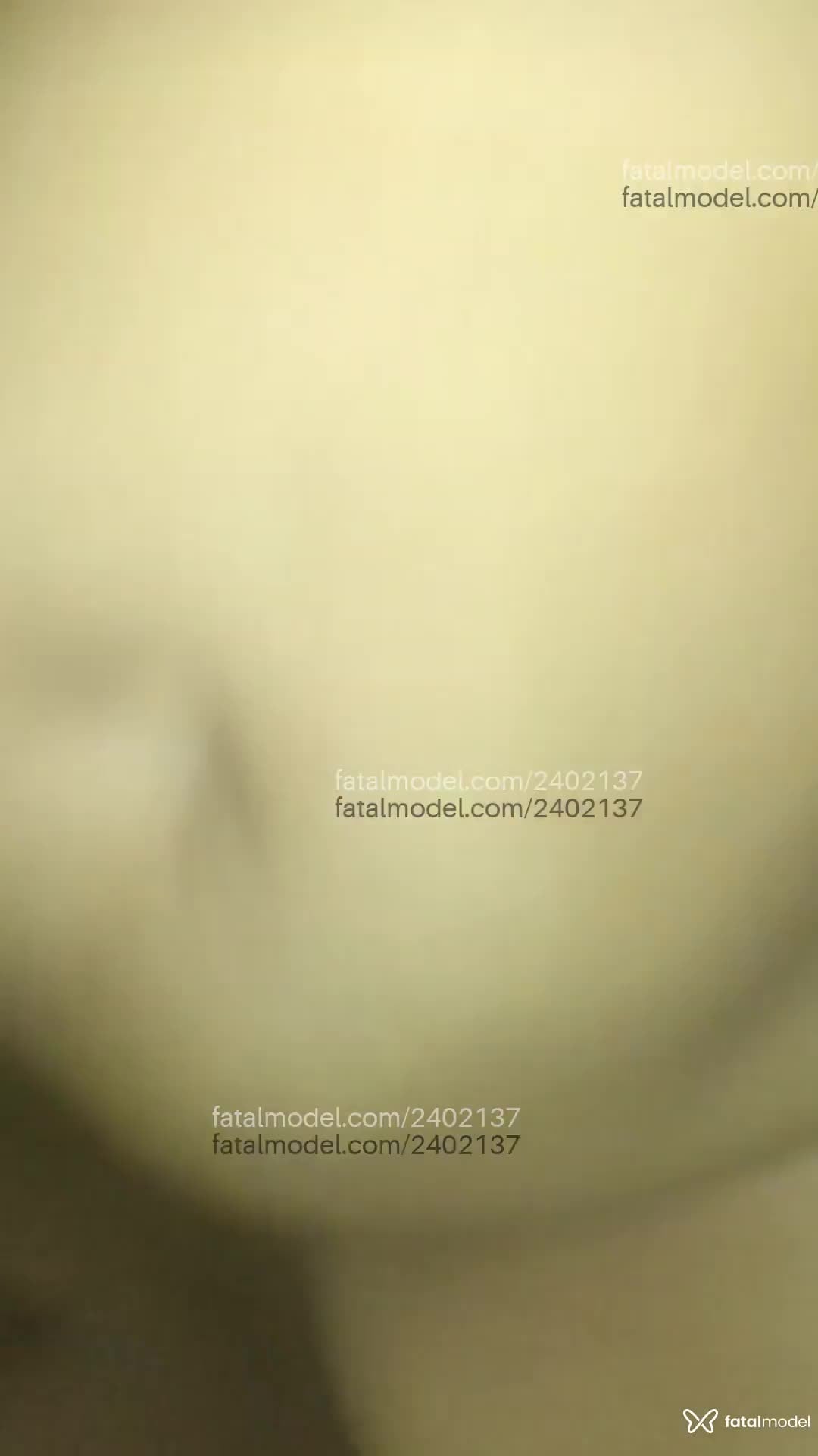 Vídeo 8