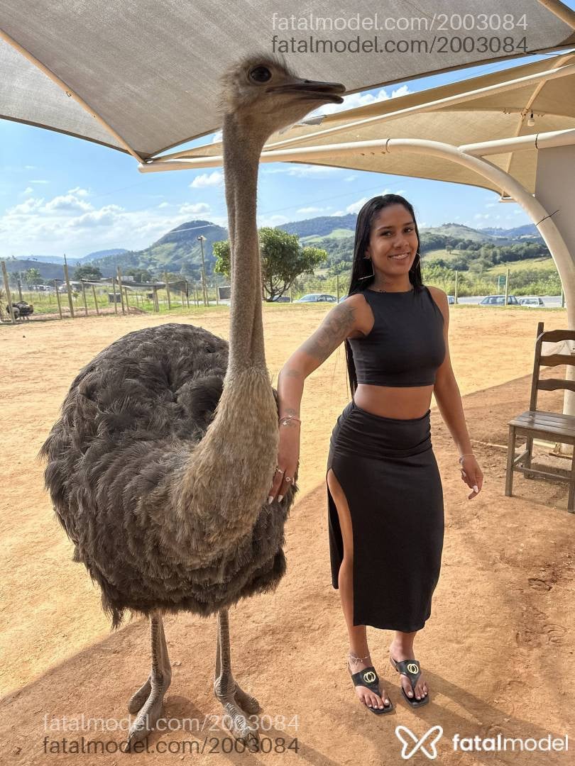 Acompanhante mulher morena (o) de olhos pretos em Lavras - Vanessa Lacerda