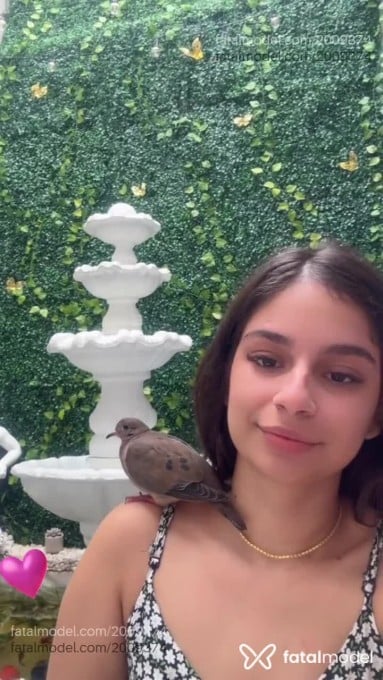 Acompanhante mulher com cabelo castanho de olhos castanhos em Campinas Acompanhante mulher com cabelo castanho de olhos castanhos em Campinas - Isa Gênova