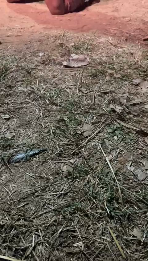Vídeo 2