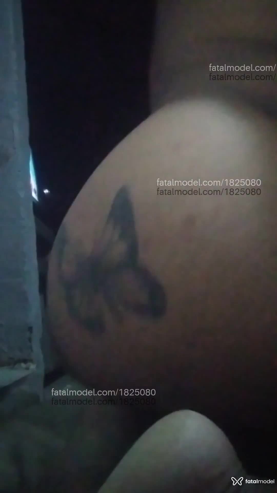 Acompanhante mulher trans morena (o) de olhos pretos - Vanessinha