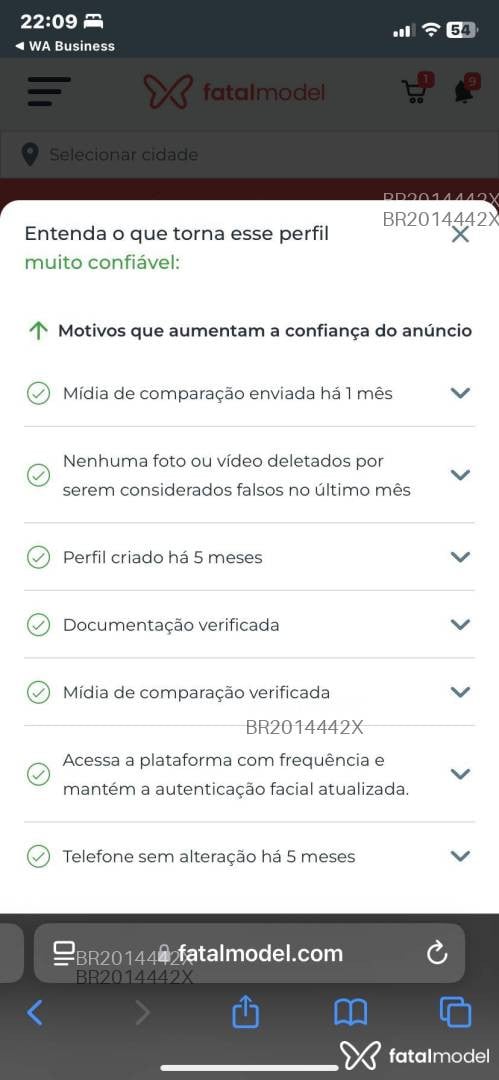 Acompanhante mulher trans com cabelo castanho de olhos castanhos em Fortaleza - Letícia