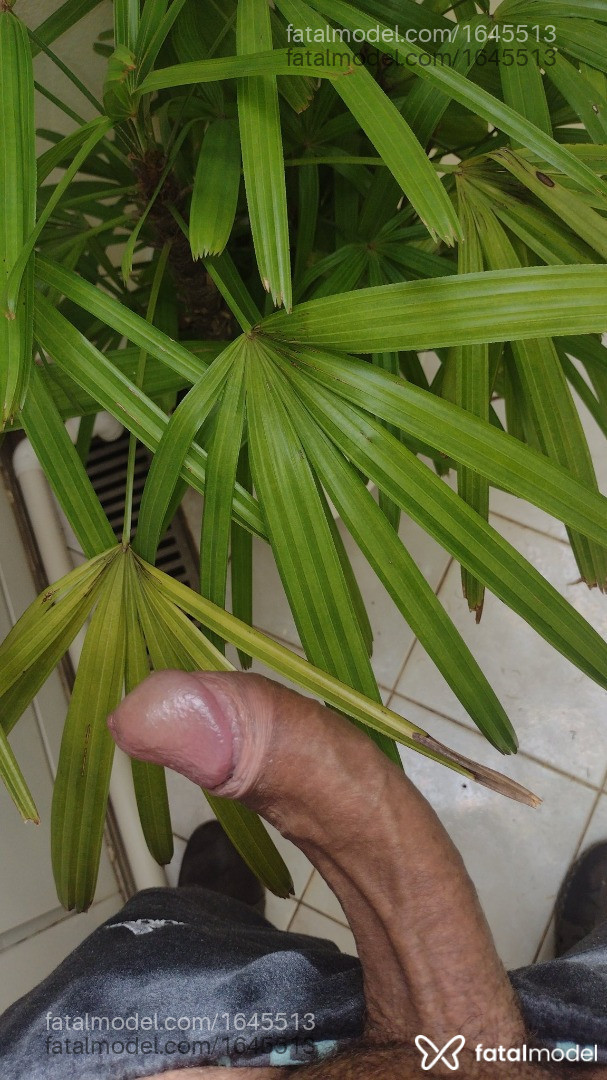 Acompanhante homem com cabelo castanho de olhos castanhos em Marília - EROTES