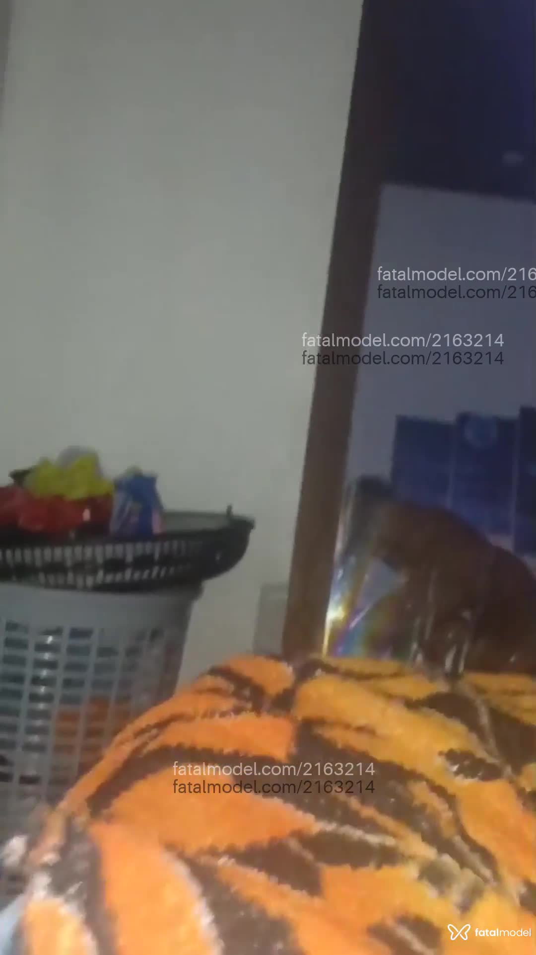 Vídeo 4