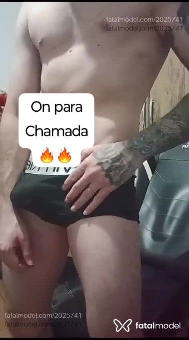 Acompanhante homem com cabelo castanho de olhos verdes em Virtual - Cavalari