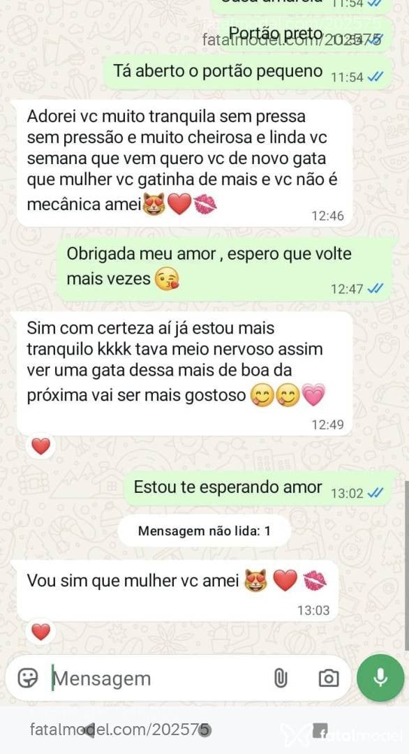 Acompanhante mulher morena (o) de olhos pretos em Catalão - Camila Queiroz