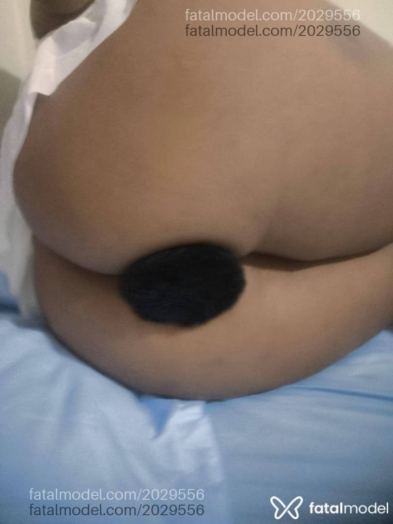 Acompanhante mulher morena (o) de olhos castanhos - Antonella Freitas