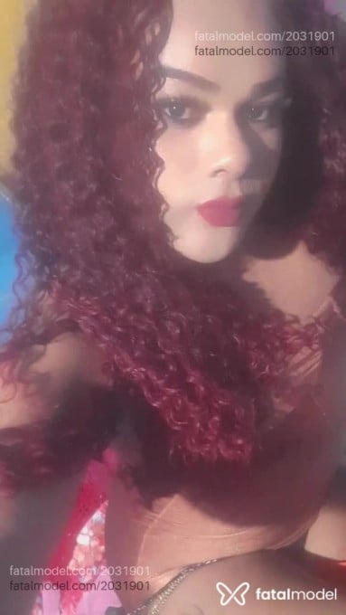 Acompanhante mulher trans morena (o) de olhos pretos em Camaçari - Thauany