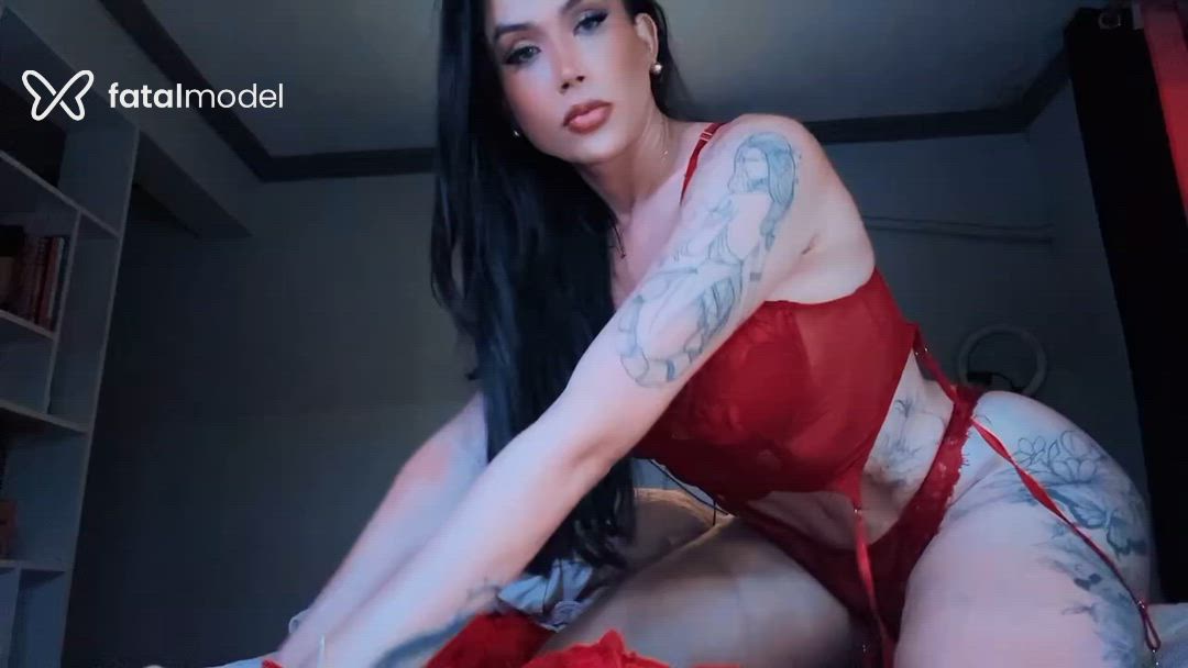 Acompanhante mulher trans morena (o) de olhos cinza - Lavinnya Bittencur