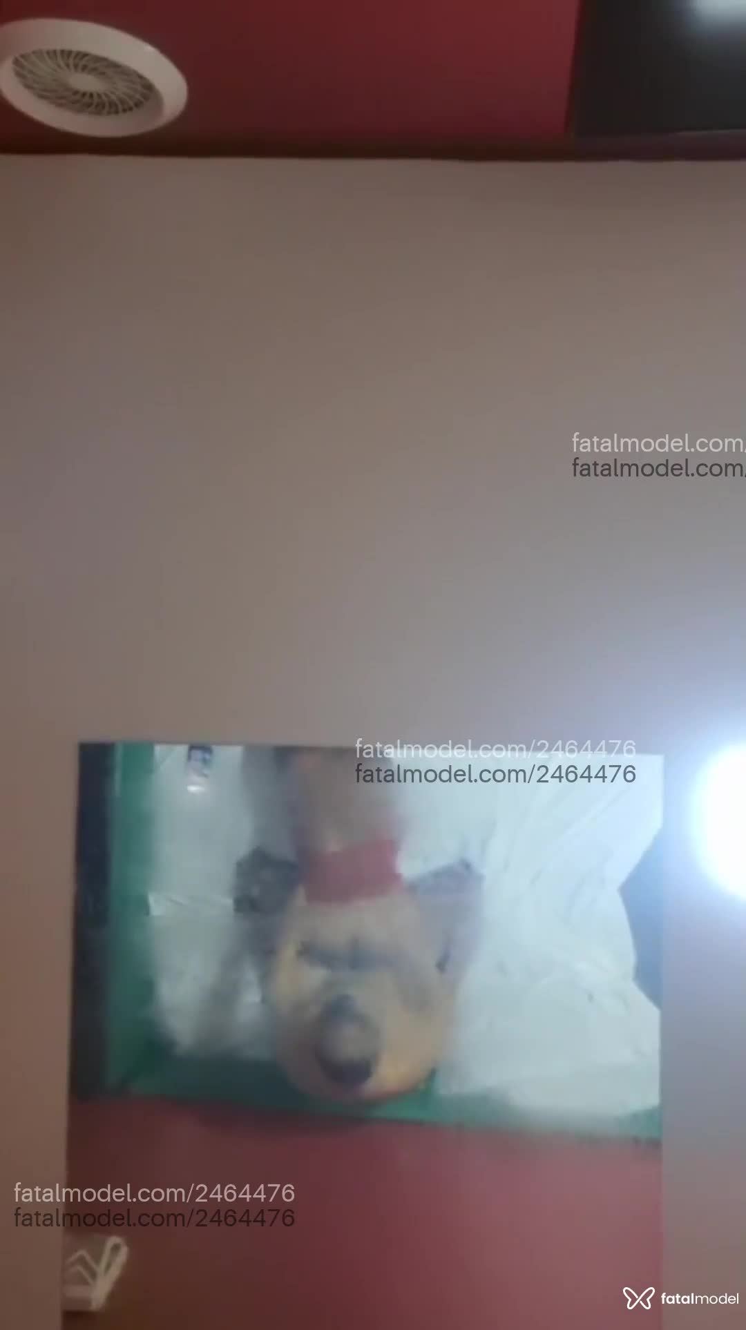 Acompanhante mulher morena (o) de olhos castanhos em Criciúma - Victória
