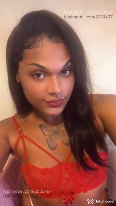 Acompanhante mulher trans morena (o) de olhos castanhos em Nova Friburgo Acompanhante mulher trans morena (o) de olhos castanhos em Nova Friburgo - Thayla Brito