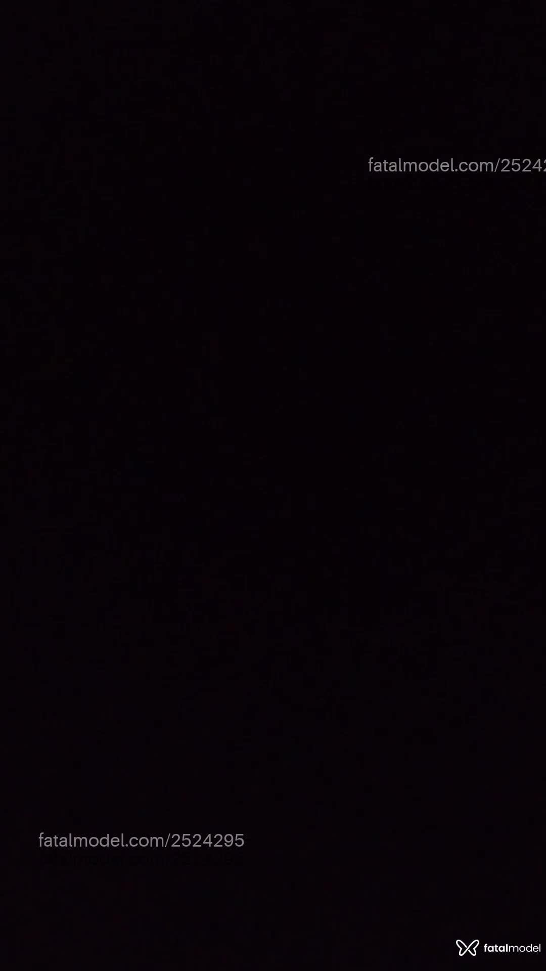 Vídeo 1