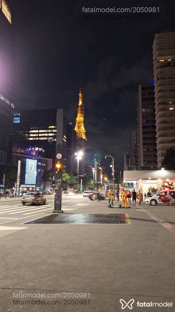Acompanhante mulher loira (o) de olhos castanhos em São Paulo - Amina