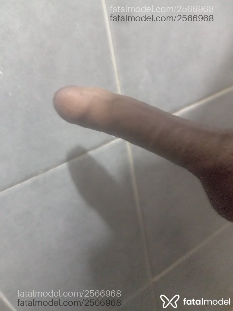 Imagem 3