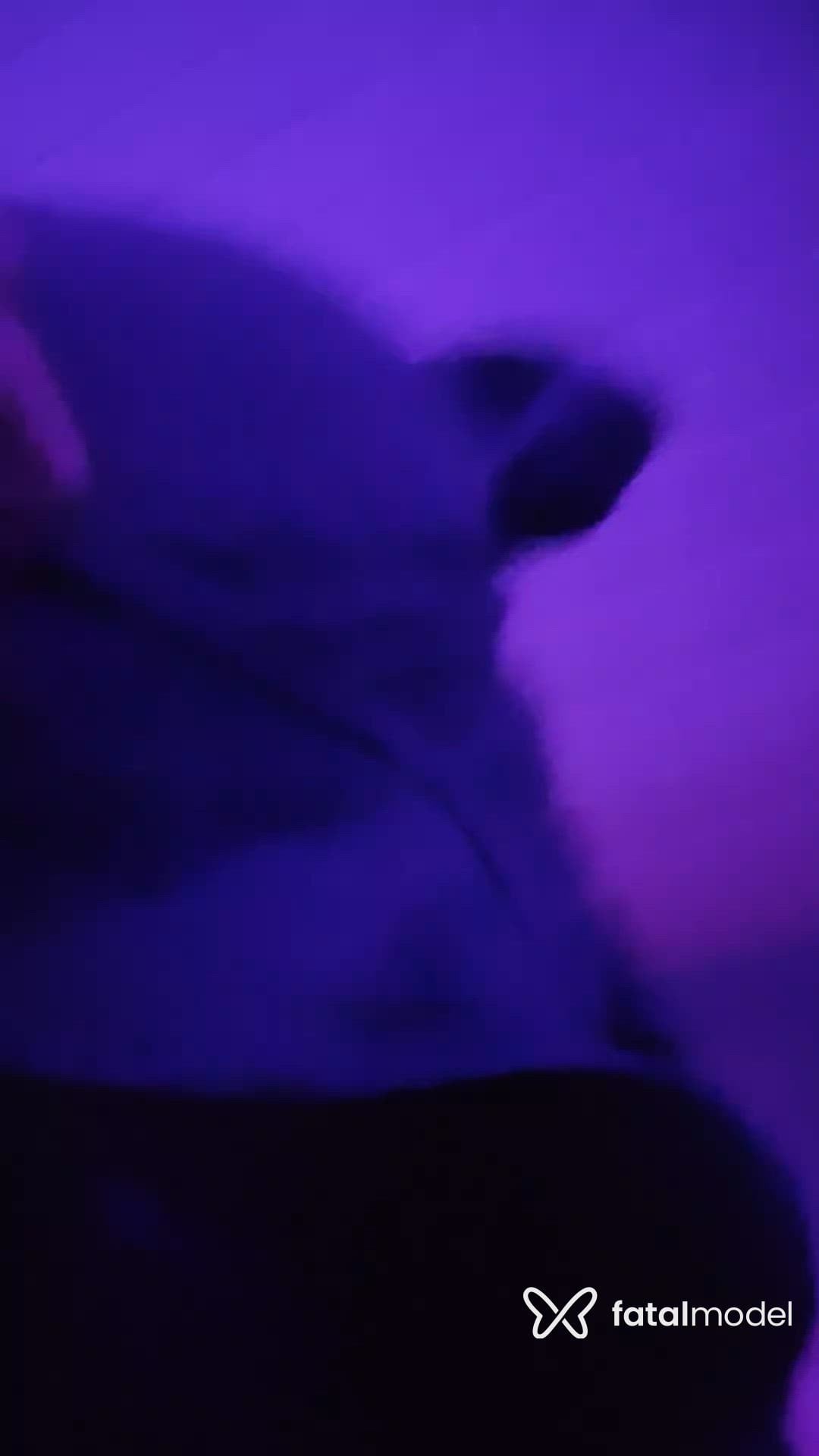 Vídeo 7