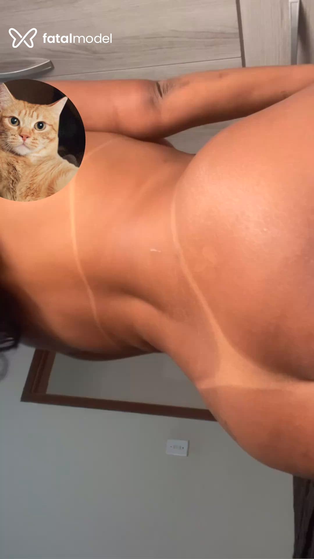 Acompanhante mulher morena (o) de olhos castanhos - Pietramodova Acompanhante mulher morena (o) de olhos castanhos - Pietramodova