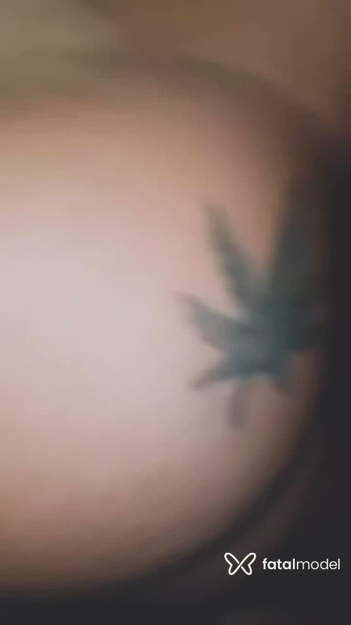 Vídeo 8