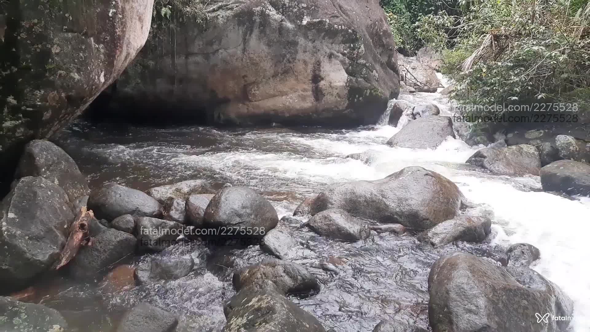 Vídeo 5