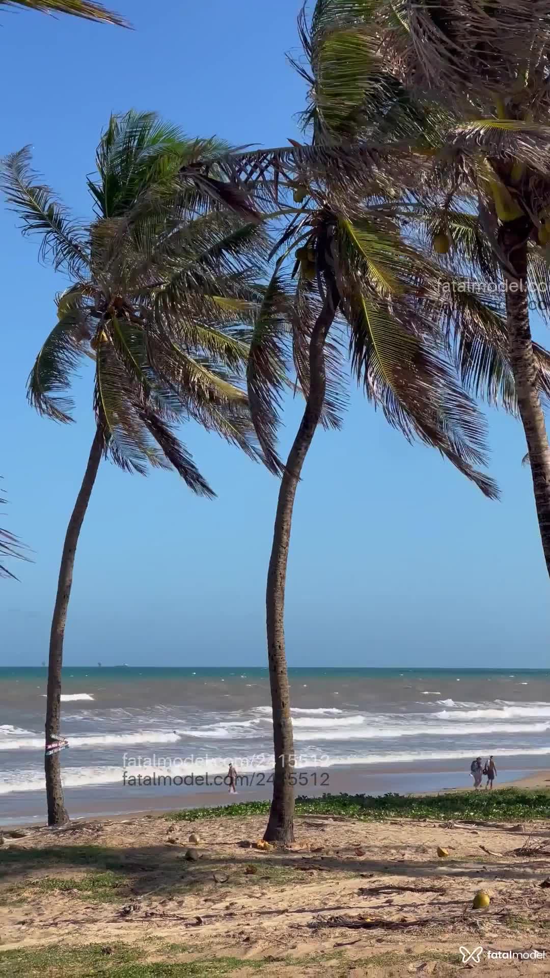 Acompanhante homem com cabelo castanho de olhos castanhos em Virtual - Xaamã