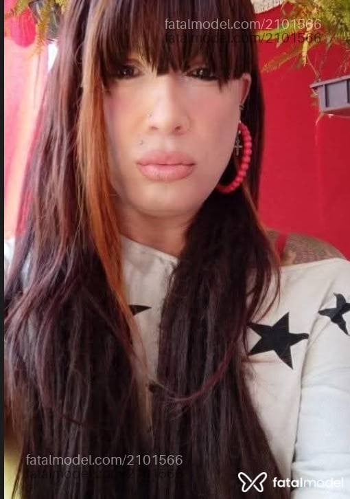 Acompanhante mulher trans loira (o) de olhos castanhos em Parobé Acompanhante mulher trans loira (o) de olhos castanhos em Parobé - Angel