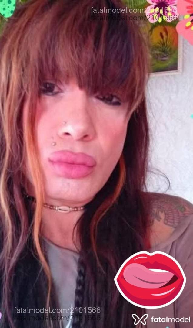 Acompanhante mulher trans loira (o) de olhos castanhos em Parobé Acompanhante mulher trans loira (o) de olhos castanhos em Parobé - Angel