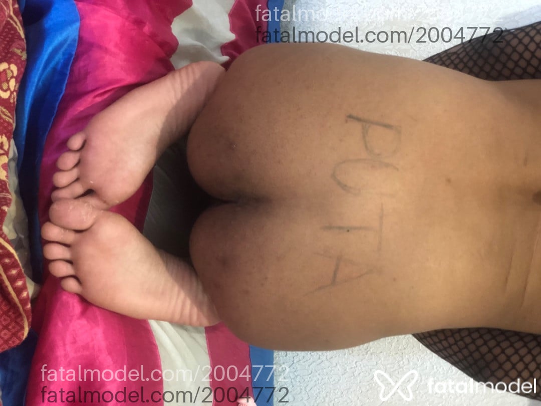 Acompanhante mulher trans com cabelo castanho de olhos castanhos em Salvador Acompanhante mulher trans com cabelo castanho de olhos castanhos em Salvador - Mirra