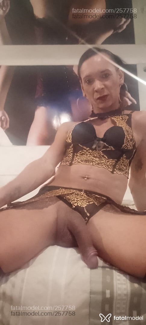 Acompanhante travesti morena (o) de olhos castanhos em Votuporanga - Karol Rodrigues
