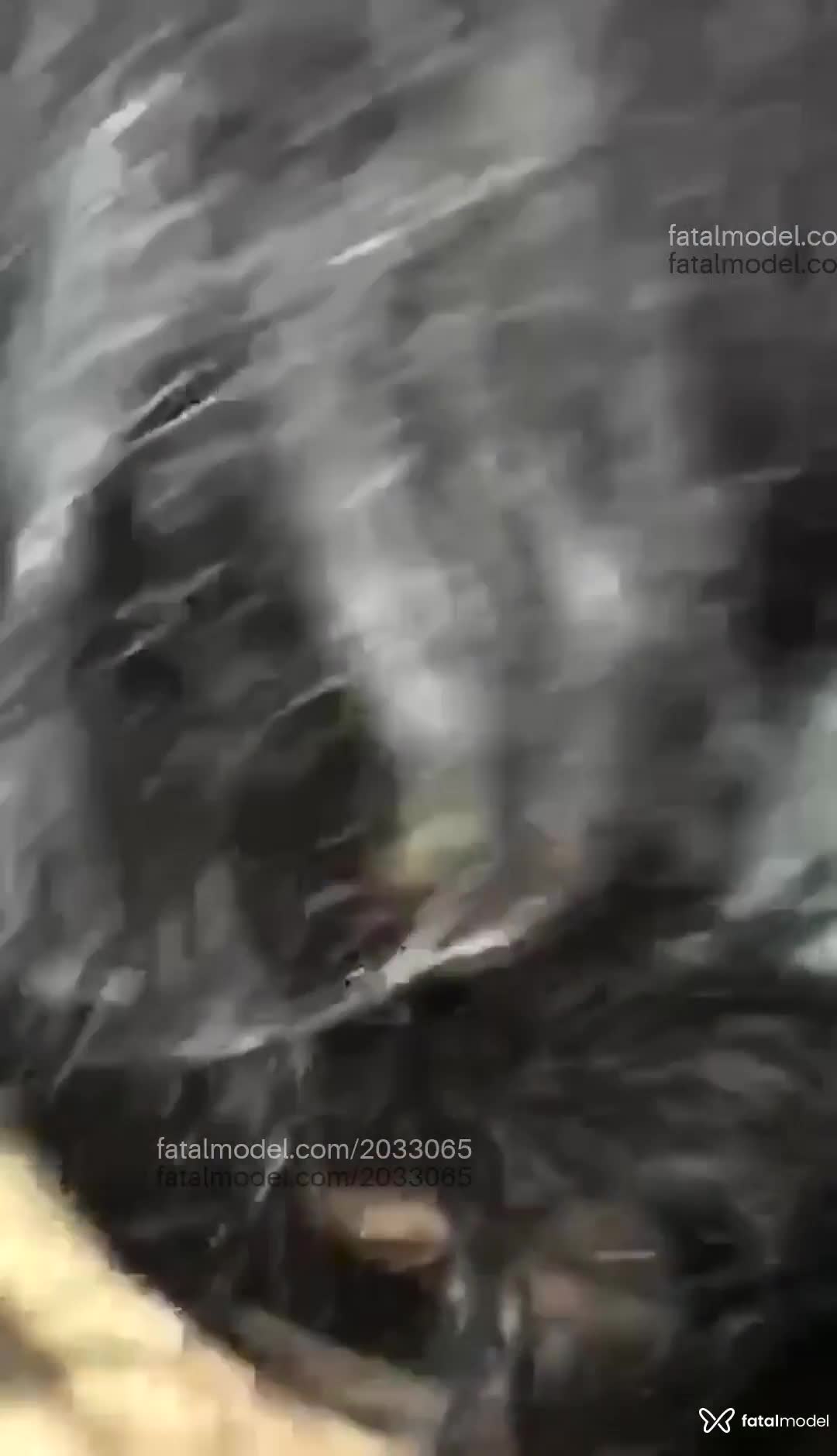 Vídeo 7