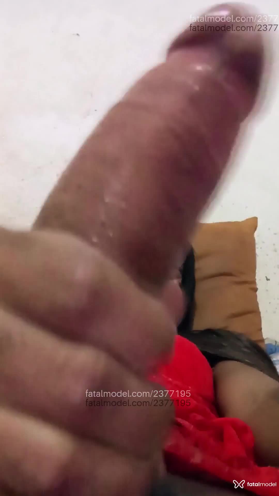 Acompanhante mulher trans com cabelo castanho de olhos pretos em Rio de Janeiro - Letidotadavst