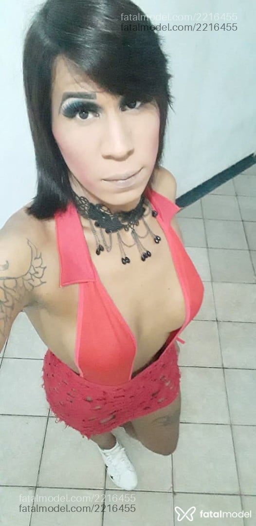 Acompanhante travesti morena (o) de olhos castanhos em Campo Grande - Aysha