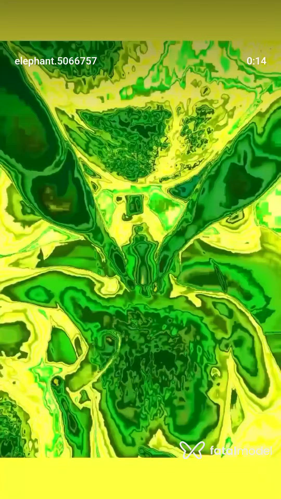Vídeo 1