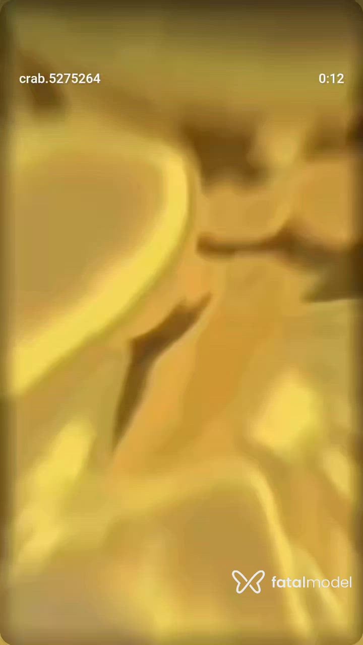 Vídeo 6