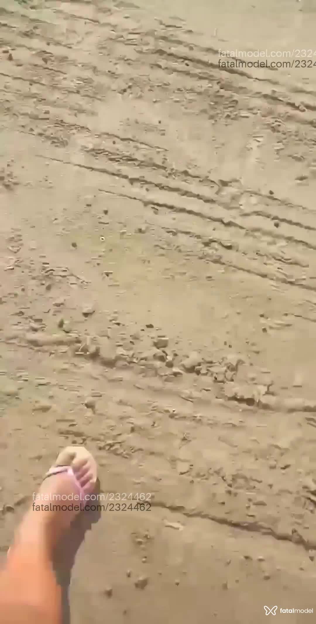 Vídeo 2
