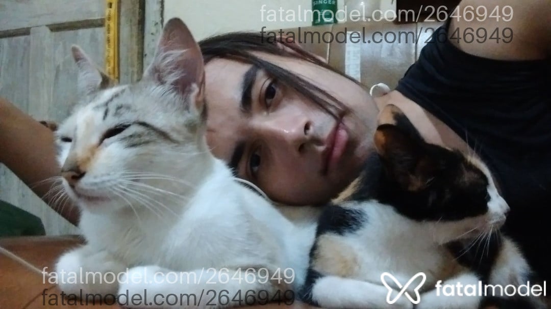Imagem 9