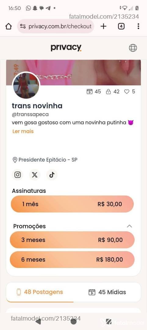 Acompanhante mulher trans ruiva (o) de olhos pretos em Presidente Epitácio - Julia Pimentaaa
