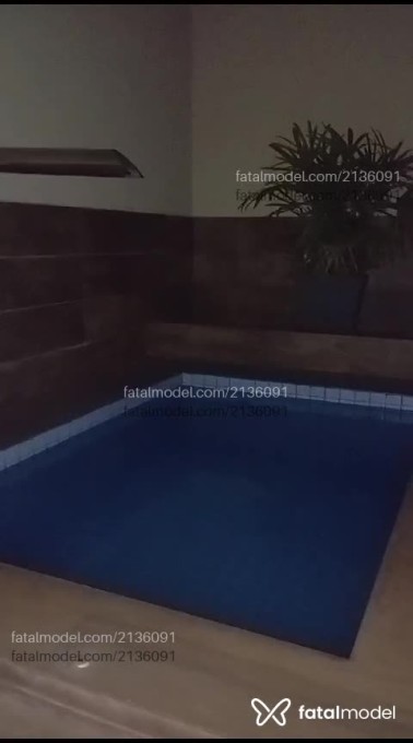 Vídeo 7